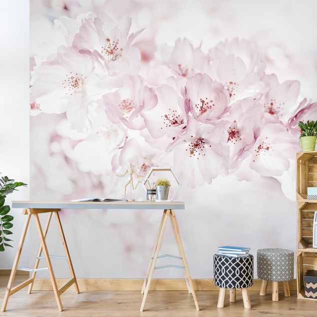 Papel pintado salón moderno A Touch Of Cherry Blossoms