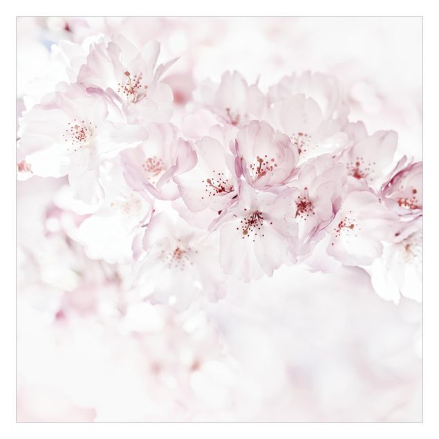Cuadros de Monika Strigel A Touch Of Cherry Blossoms