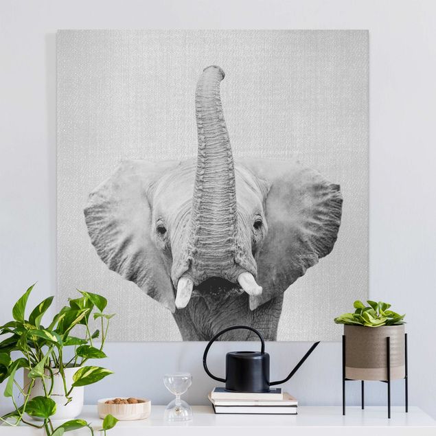 Lienzos de elefantes Elephant Ewald Black And White