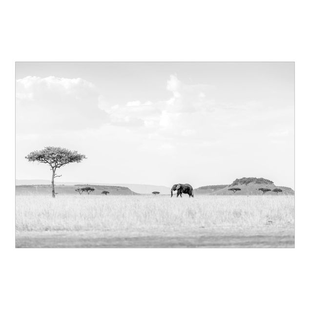 Papel pintado paisajes naturales Elephant In Vast Savannah Black And White