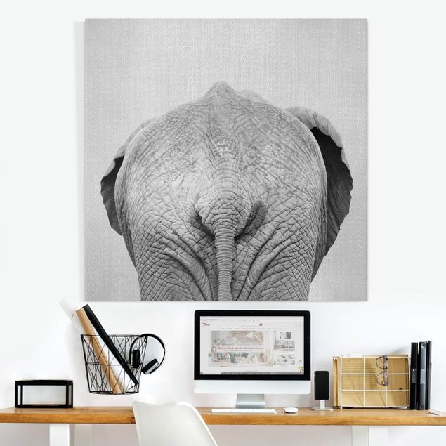 Lienzos elefantes Elephant From Behind Black And White