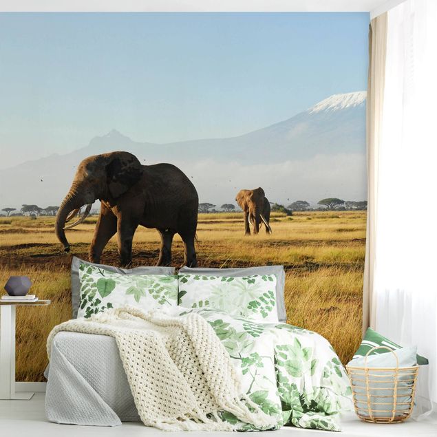 Papel pintado elefantes Elephants In Front Of The Kilimanjaro In Kenya
