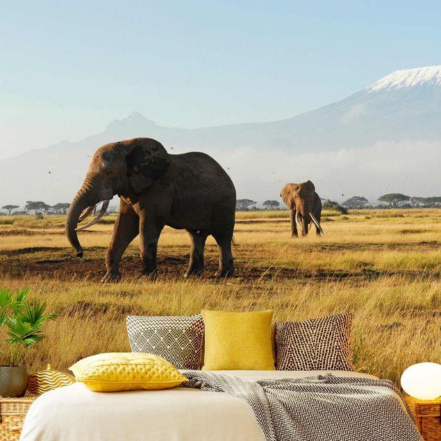 Papel pintado África Elephants In Front Of The Kilimanjaro In Kenya