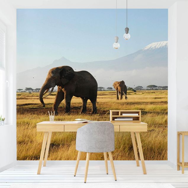 Papel pintado montañas Elephants In Front Of The Kilimanjaro In Kenya