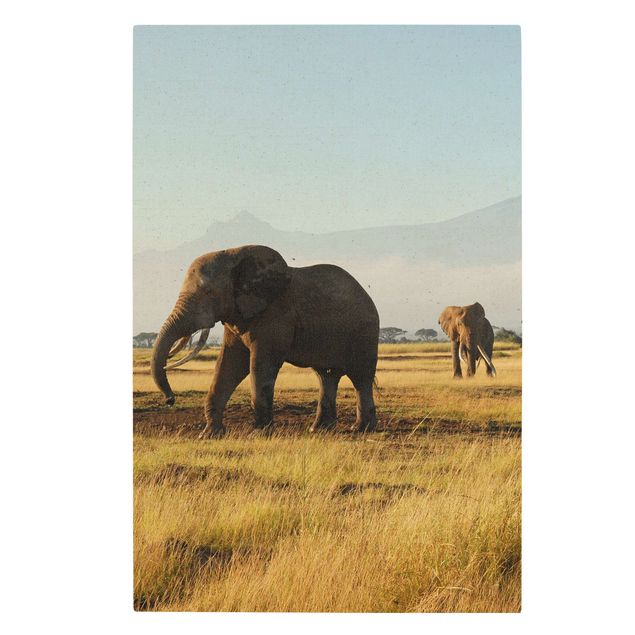 Lienzos de montañas Elephants In Front Of Kilimanjaro In Kenya