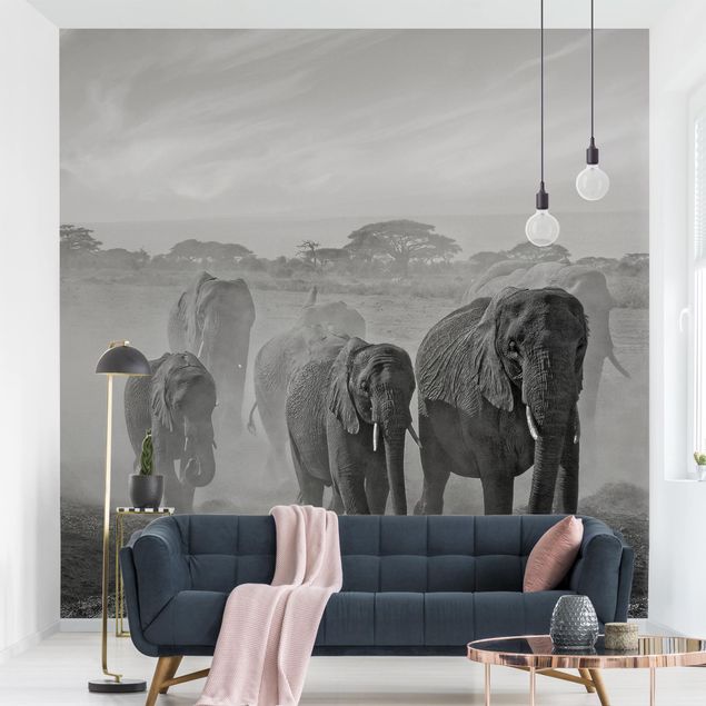 Papel pintado elefantes Herd Of Elephants