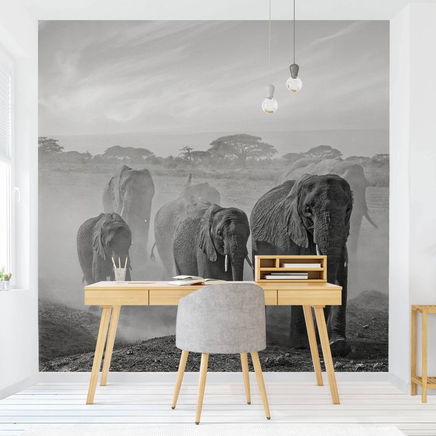 Papel pintado África Herd Of Elephants
