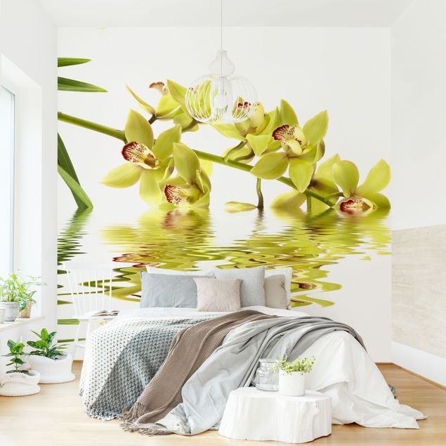 Decoración cocina Elegant Orchid Waters