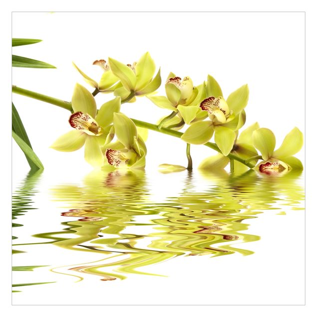 Papel blanco pared Elegant Orchid Waters