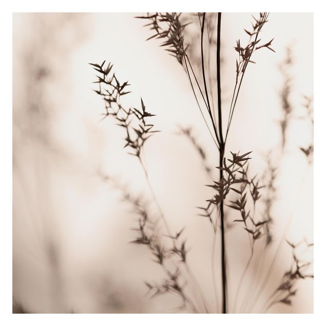 Cuadros de Monika Strigel Elegant Grass In The Shadow