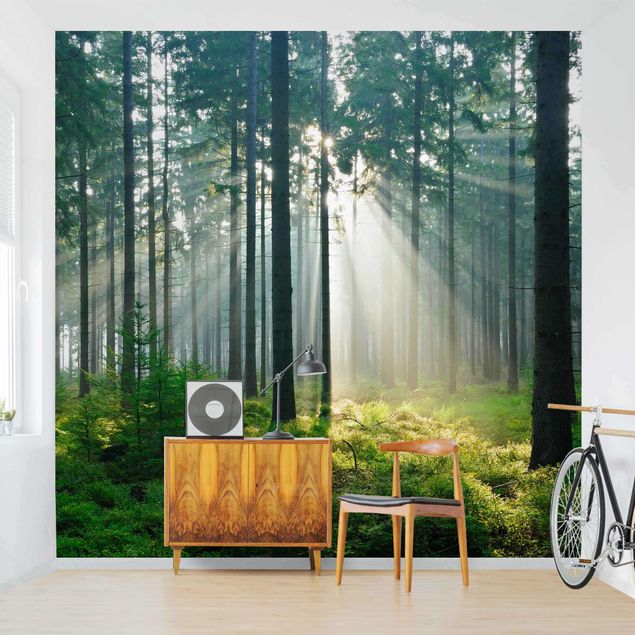 Papel pared paisaje Enlightened Forest