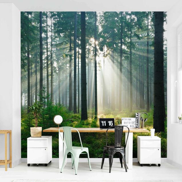 Papel pared bosque Enlightened Forest