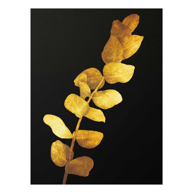 Cuadros de flores Gold - Eucalyptus On Black