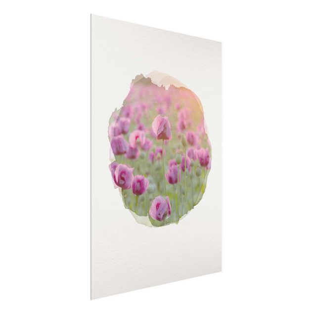 Decoración de cocinas WaterColours - Violet Poppy Flowers Meadow In Spring