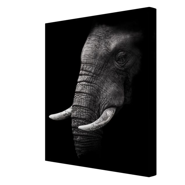 Lienzos paisajes Dark Elephant Portrait