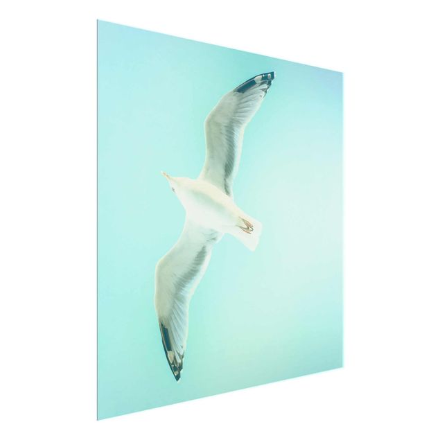 Cuadros modernos Blue Sky With Seagull