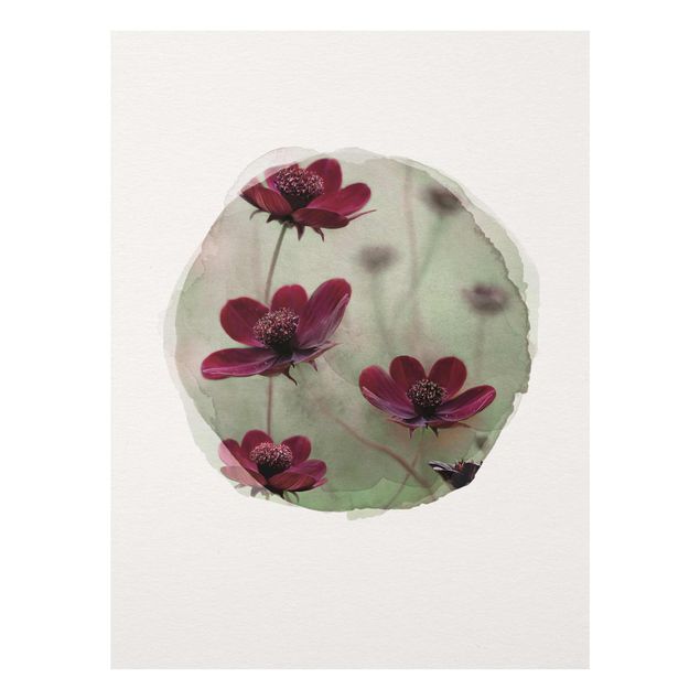 Cuadros de flores WaterColours - Pink Kosmeen