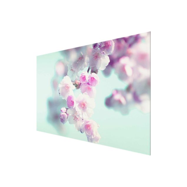 Cuadros de Monika Strigel Colourful Cherry Blossoms