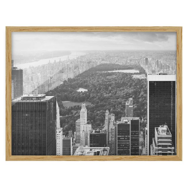 Cuadros modernos y elegantes View over the Central Park II