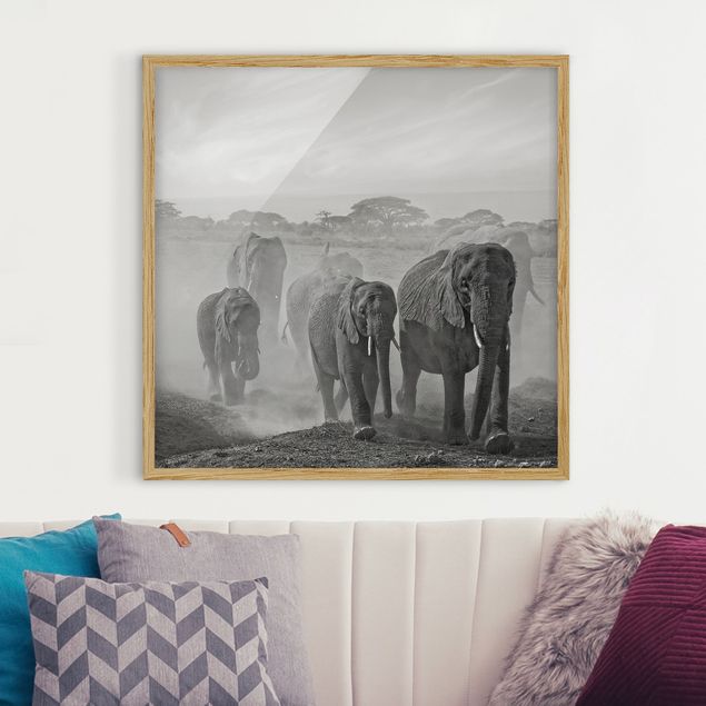 Decoración en la cocina Herd Of Elephants