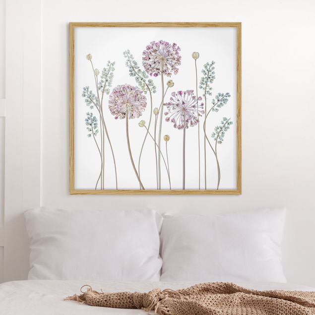 Pósters enmarcados flores Allium Illustration