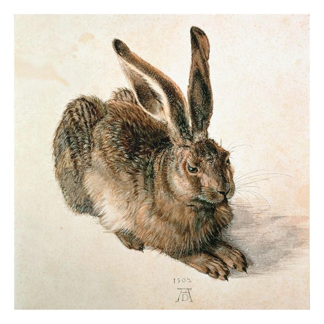 Cuadros de cristal animales Albrecht Dürer - Young Hare