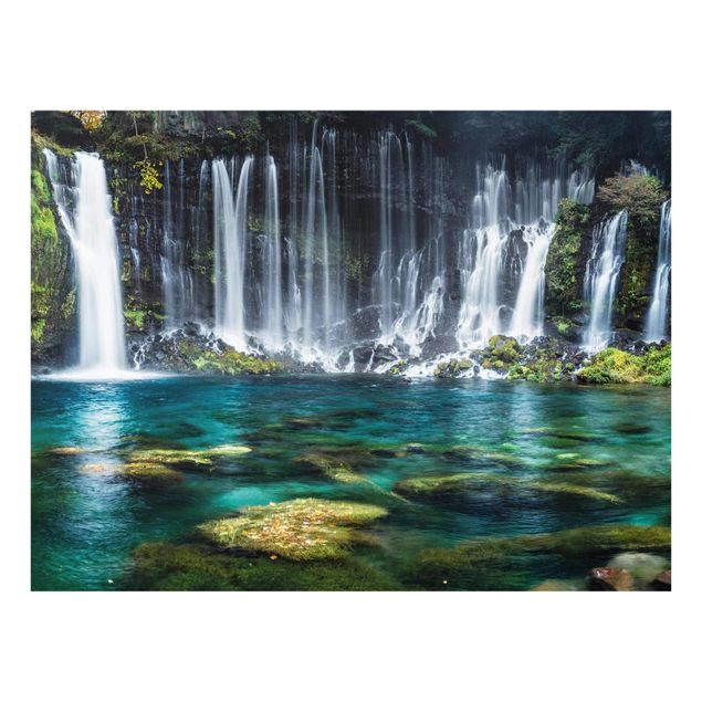 Cuadro con paisajes Shiraito Waterfall