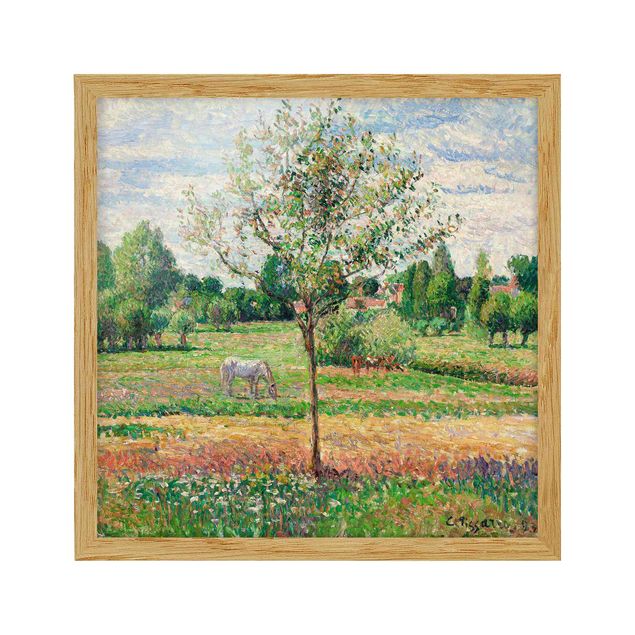 Cuadros puntillismo Camille Pissarro - Meadow with Grey Horse, Eragny