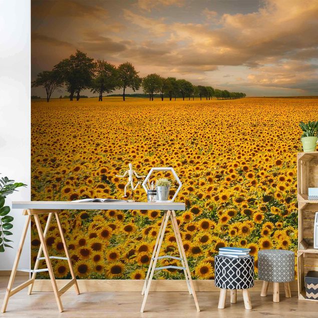 Decoración en la cocina Field With Sunflowers