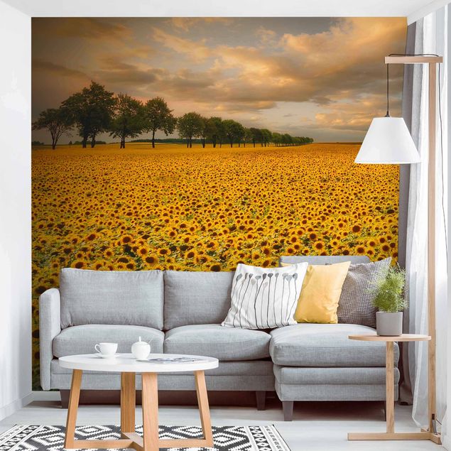 Papel pintado girasoles Field With Sunflowers