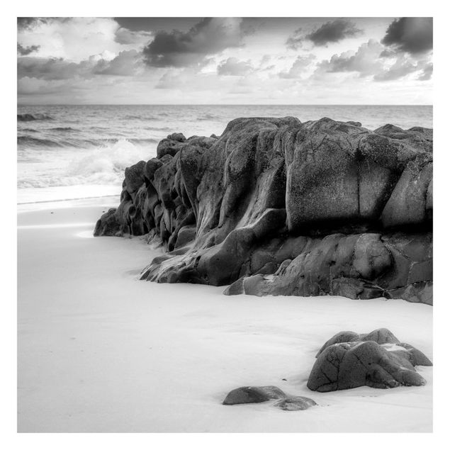 Papel pared paisaje Rock On The Beach Black And White
