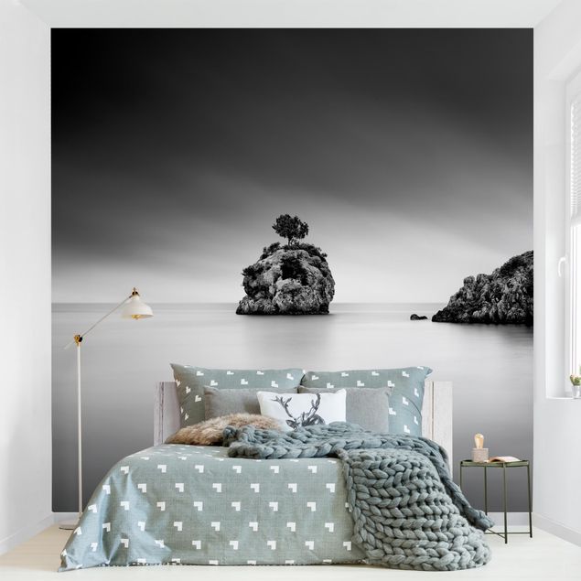 Papel pintado costas Rocky Island In The Sea Black And White
