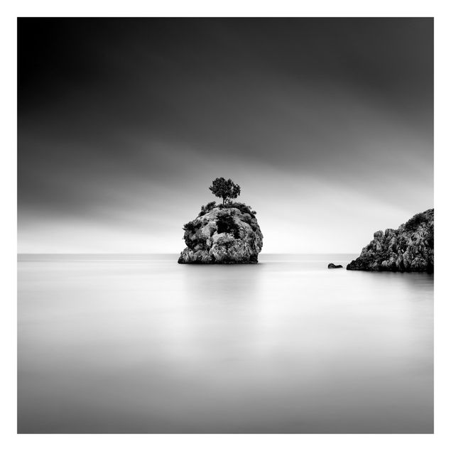 Papel pintado Rocky Island In The Sea Black And White