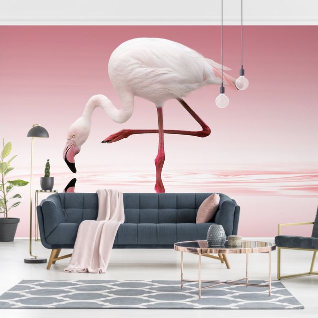 Papel pared flamencos Flamingo Dance