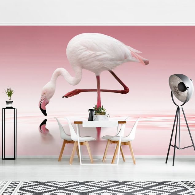 Papeles pintados modernos Flamingo Dance