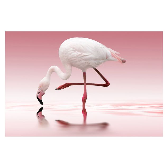 Papel pintado tonos rosas Flamingo Dance