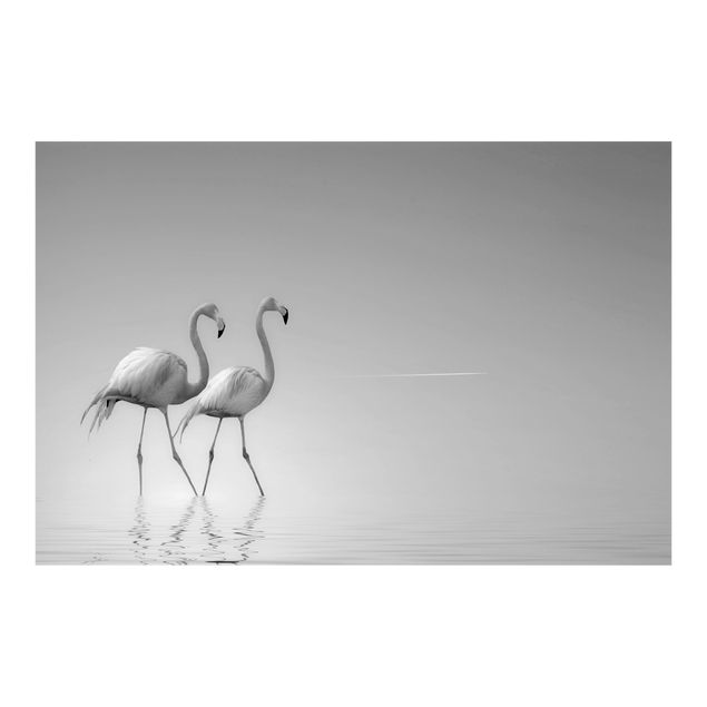 Papel pintado infantil animales Flamingo Love Black And White