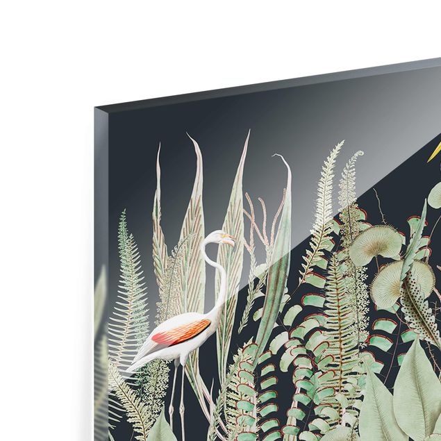 Tableros magnéticos de vidrio Flamingo And Stork With Plants On Green