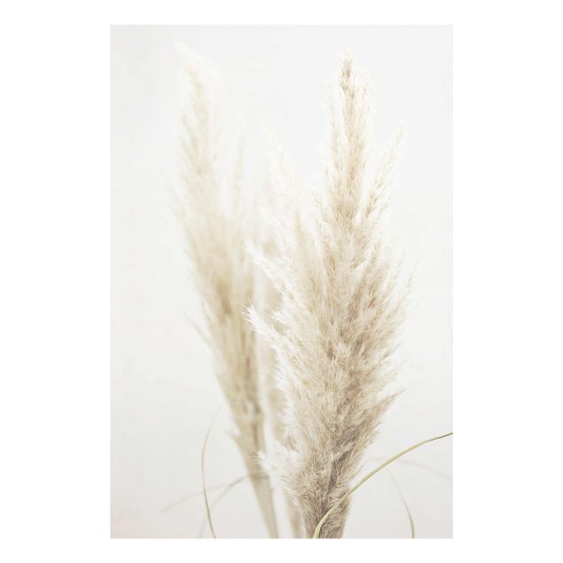 Cuadros de Monika Strigel Soft Pampas Grass