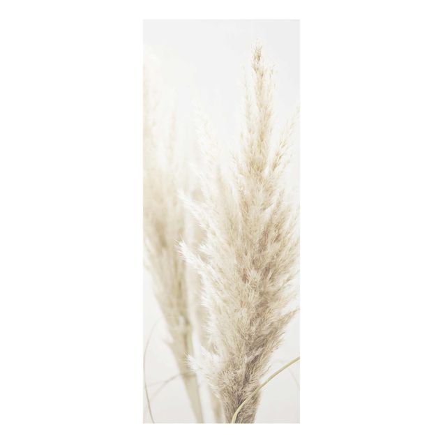 Cuadros de Monika Strigel Soft Pampas Grass
