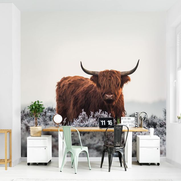 Papel pintado salón moderno Bison In The Highlands