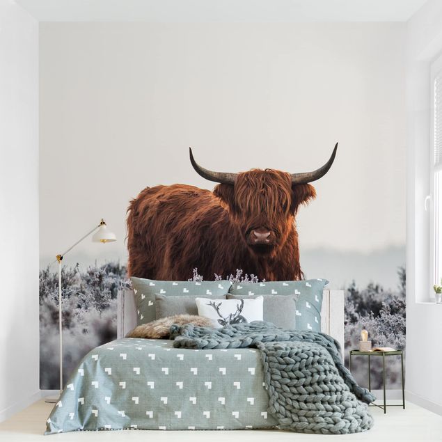 Papel de pared blanco Bison In The Highlands