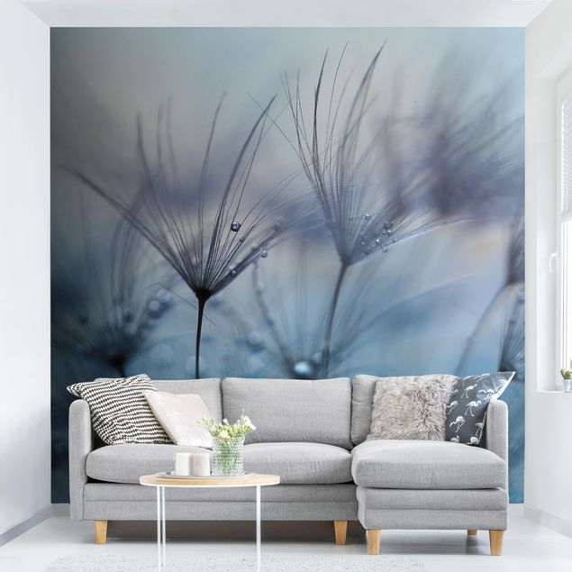 Papel pintado salón moderno Blue Feathers In The Rain