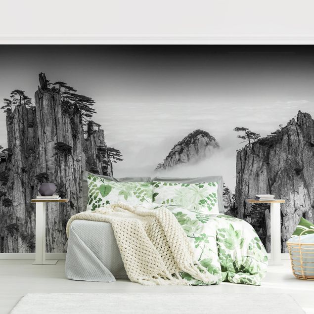 Papel pared flores Rocks In Fog In Black And White