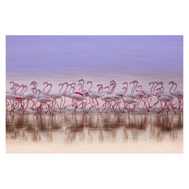 Papel pintado rosa Flamingo Party