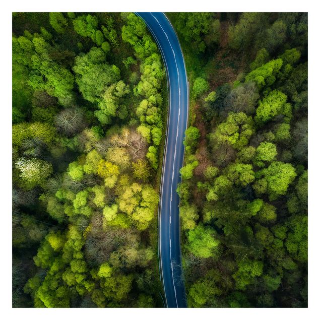 Papel de pared Aerial View - Asphalt Road In The Forest