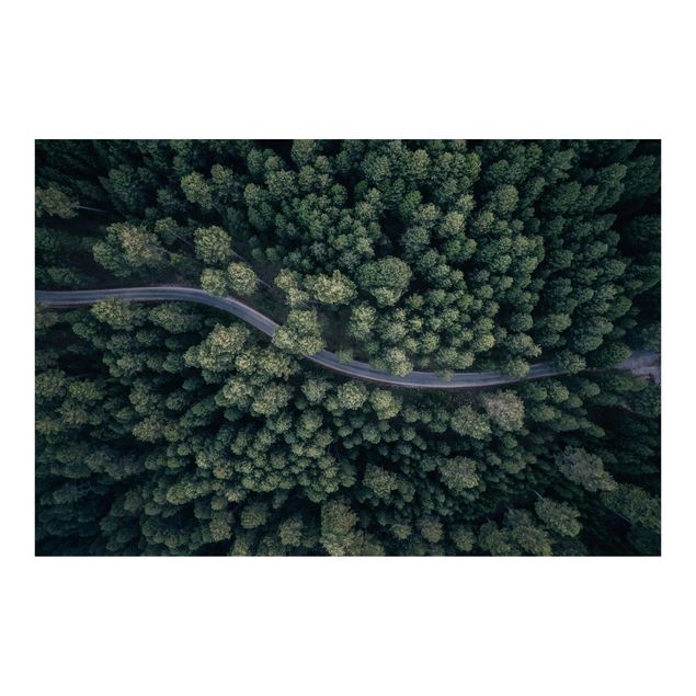 Papel pintado Aerial View - Forest Road From The Top