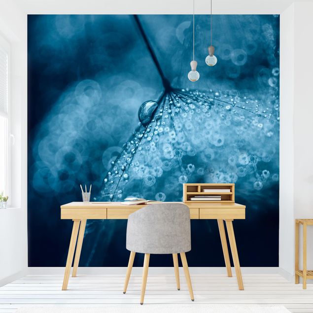 Papel pintado salón moderno Blue Dandelion In The Rain