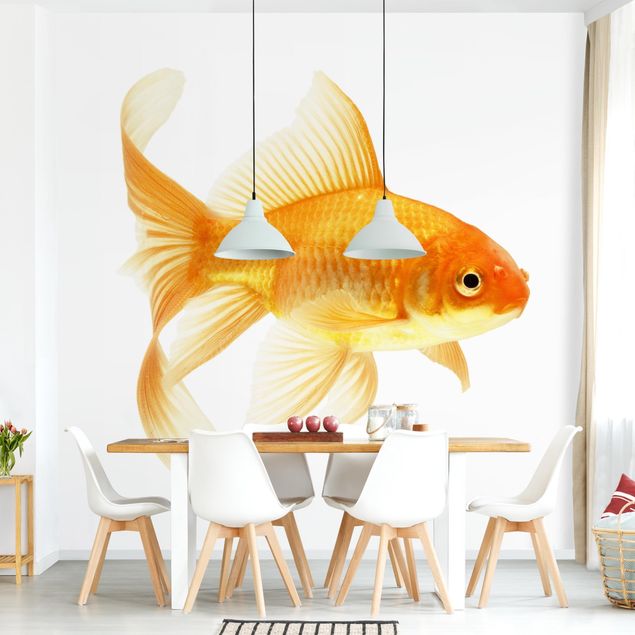 Papel pintado de peces Ms Goldfish