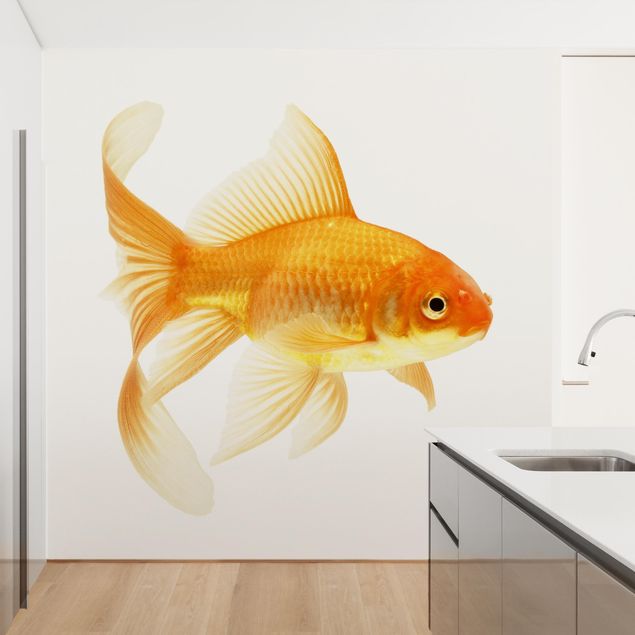Papel pintado infantil animales Ms Goldfish
